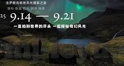 乐鱼体育电子竞技官网-乐鱼体育电子竞技官网，竞技激情与数字时代的交汇点